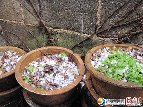 復件 IMG_0918
