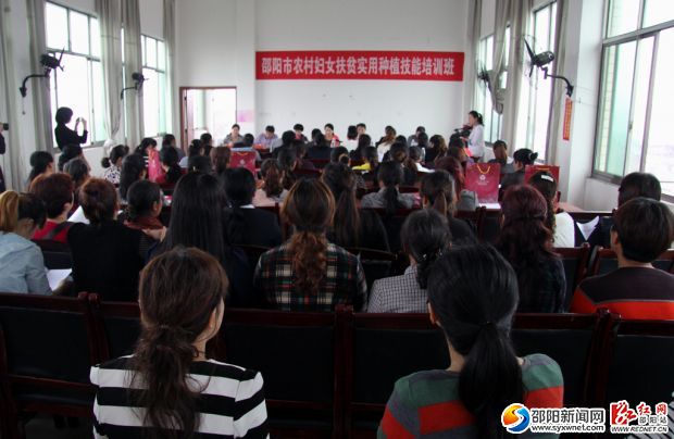 5月23日，百余名婦女精英齊聚渡頭橋鎮(zhèn)，一起學(xué)習(xí)大棚蔬菜種植技術(shù)。