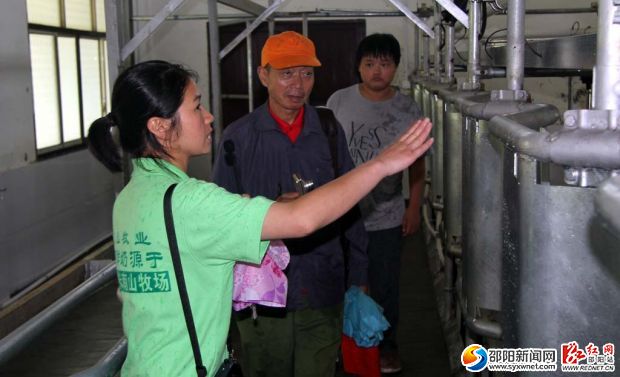 唐老師等在認(rèn)真參觀南山牧民的擠奶車間。