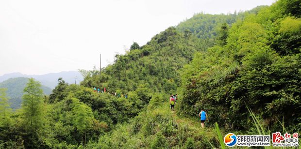 環(huán)湖徒步，親近自然。
