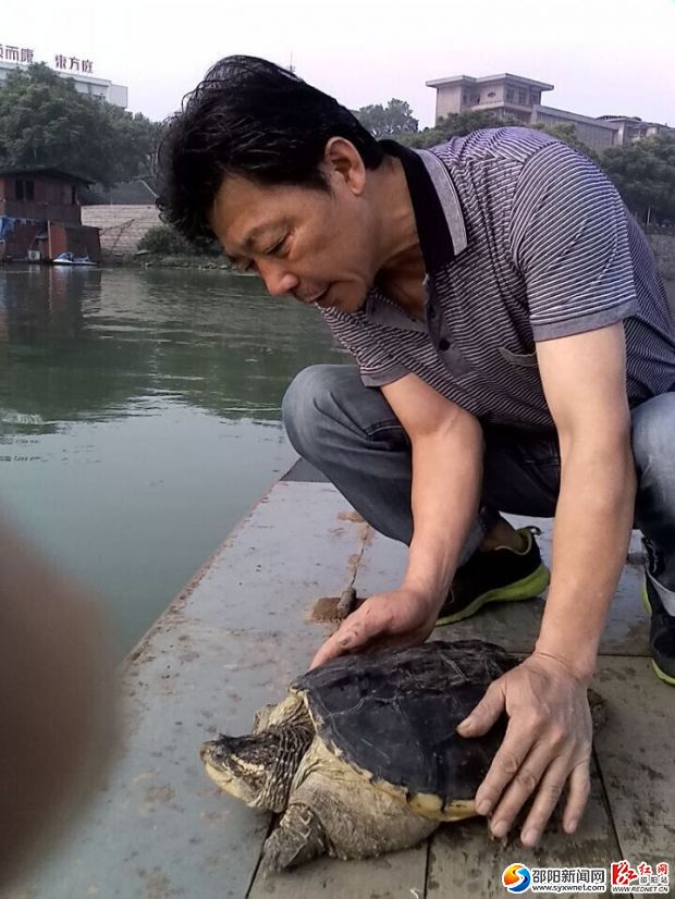準(zhǔn)備放生。