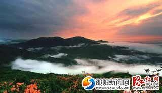 黃桑霧海。