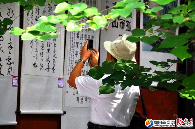 优秀书画作品引起观众共鸣_看图王