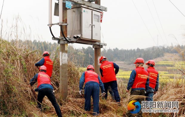 2邵陽縣供電公司農(nóng)電黨員服務(wù)在清理配電變壓器的雜草，確保安全供電。