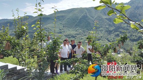 2專家組在實地進行指導。