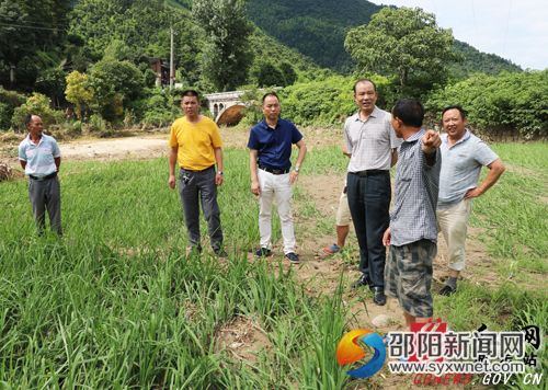 縣政協(xié)主席黃進(jìn)錄在土橋農(nóng)場察看災(zāi)情