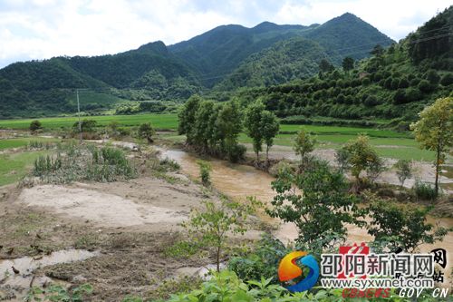 土橋農(nóng)場受災(zāi)農(nóng)田一隅