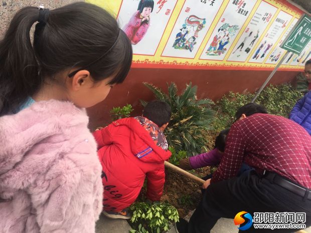 師生一起扦插樹(shù)苗