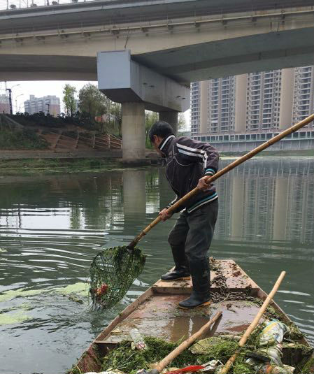 保潔員正在將河道垃圾撈到船上