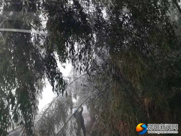 微信圖片_20181209153437