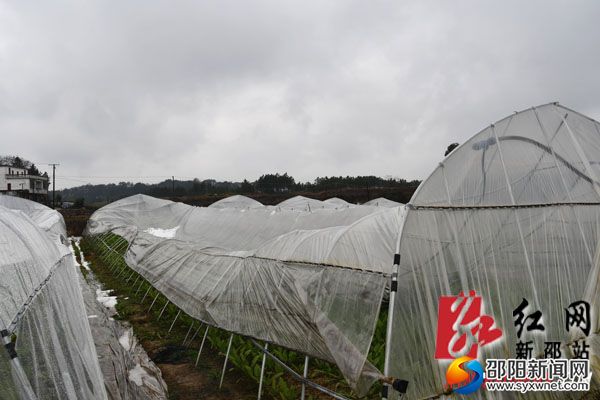 大棚設(shè)施受損