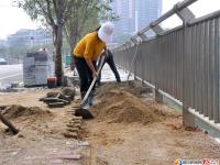邵水東路六中路段完善改建后續(xù)工作