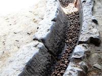 全國媒體關(guān)注邵陽縣傳統(tǒng)手工茶油榨油坊
