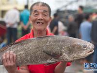 海南漁港春汛旺