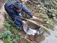 貴陽村民釣到怪魚 得知是娃娃魚后放歸自然  