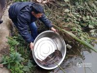 貴陽村民釣到怪魚 得知是娃娃魚后放歸自然  