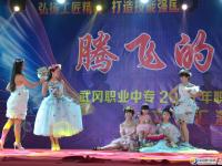 武岡職業(yè)中專職業(yè)技能演出異彩紛呈