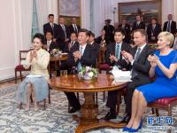 彭麗媛隨習(xí)近平出訪三國(guó) 多套造型素雅端莊