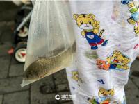 京杭大运河水位上涨 杭州市民下水捞鱼