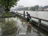 京杭大运河水位上涨 杭州市民下水捞鱼