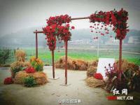 這婚禮給滿分！新人鄉(xiāng)野辦婚禮 稻草柴火布景
