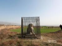 陜西唐貞陵兩尊石獅被“關”鐵籠 為防盜 