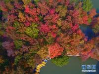  天平山五彩“楓”景美如畫(huà)