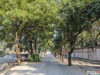 雪峰南路北段項目建設(shè)進行中