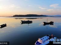  青島現(xiàn)炫美晨曦 景美迷人