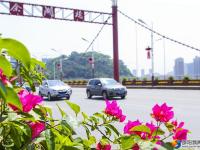 【醉美邵陽(yáng)】橋梁立體綠化成風(fēng)景線