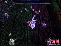 3000萬(wàn)個(gè)光源湖南永興縣演繹浪漫燈光秀