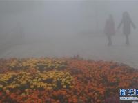  中央氣象臺發(fā)布大霧黃色預(yù)警