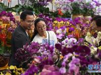  廣東深圳：逛花市 迎新春