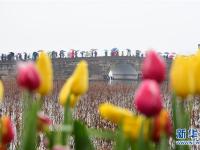  2019年春節(jié)假期全國旅游接待總?cè)藬?shù)4.15億人次