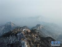  雪落泰山