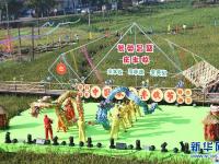  稻田里過(guò)豐收節(jié)