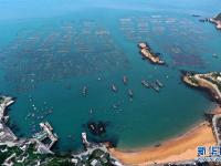 浙江舟山：“貽貝之鄉(xiāng)”耕海忙
