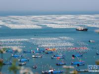 浙江舟山：“貽貝之鄉(xiāng)”耕海忙
