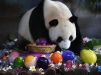 ?？冢捍笮茇堖^生日