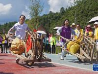 趣味運動慶豐收