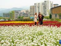重慶開州打造宜居宜業(yè)宜游的新農(nóng)村