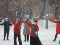 沈陽：“小雪”迎降雪
