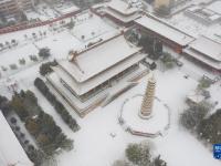 甘肅多地降雪