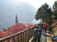 重慶巫山：紅葉引客來
