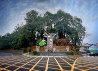 乡村振兴示范村——秀美莲荷村