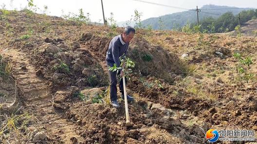 邵阳县九塘村：播种新希望