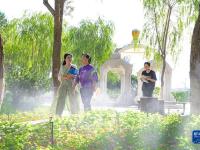 “迷你公園”讓生活更美麗
