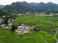 陜西漢陰：綠色產(chǎn)業(yè)促發(fā)展
