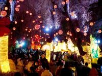 濟(jì)南：春節(jié)游覽趵突泉花燈會(huì)人數(shù)超35萬
