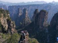 湖南張家界：春節(jié)將至 旅游升溫
